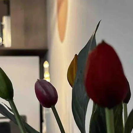 Apartment Corvin Cozy And Peaceful 217 Budapest